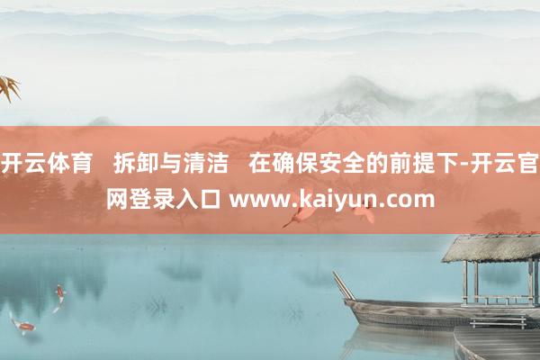 开云体育   拆卸与清洁   在确保安全的前提下-开云官网登录入口 www.kaiyun.com